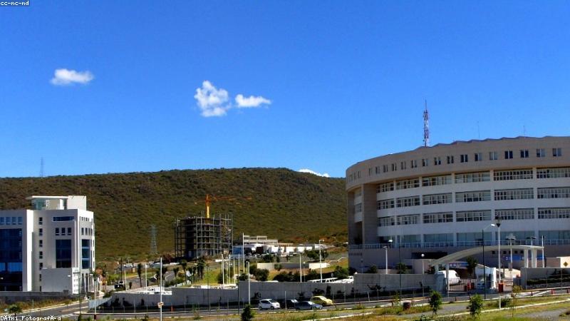 91在线视频沉浸式观影主界面展示